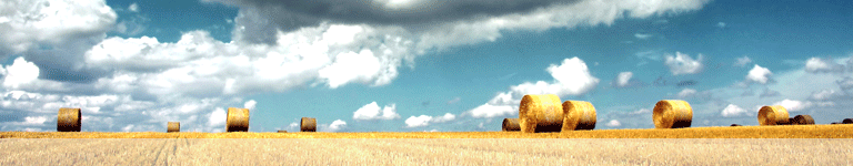 header